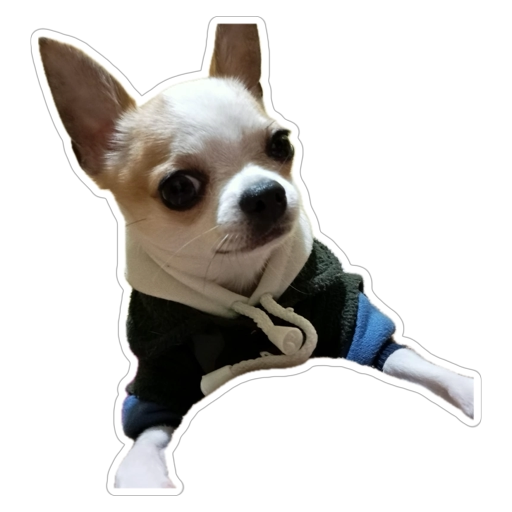 Milo